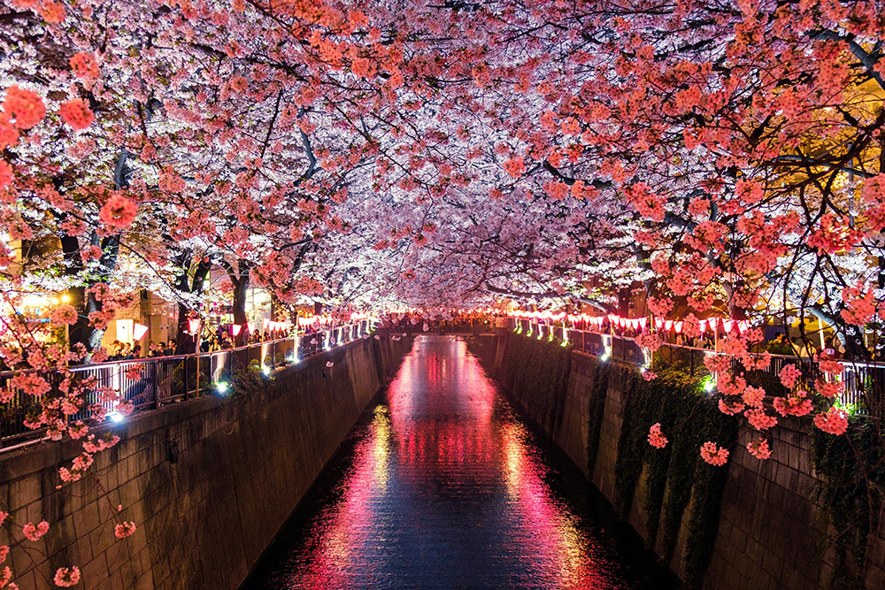 Traditional Tokyo atmosphere near Asakusa
